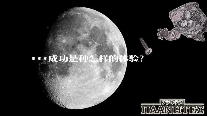 ***成功是种怎样的体验？